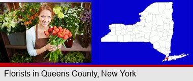 pretty florist holding a bunch of tulips; Queens County highlighted in red on a map