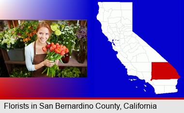 pretty florist holding a bunch of tulips; San Bernardino County highlighted in red on a map