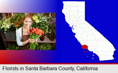 pretty florist holding a bunch of tulips; Santa Barbara County highlighted in red on a map