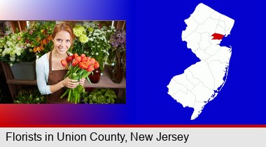 pretty florist holding a bunch of tulips; Union County highlighted in red on a map