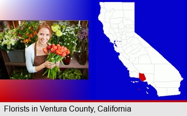 pretty florist holding a bunch of tulips; Ventura County highlighted in red on a map