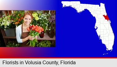 pretty florist holding a bunch of tulips; Volusia County highlighted in red on a map
