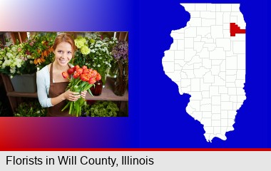 pretty florist holding a bunch of tulips; Will County highlighted in red on a map