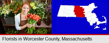 pretty florist holding a bunch of tulips; Worcester County highlighted in red on a map